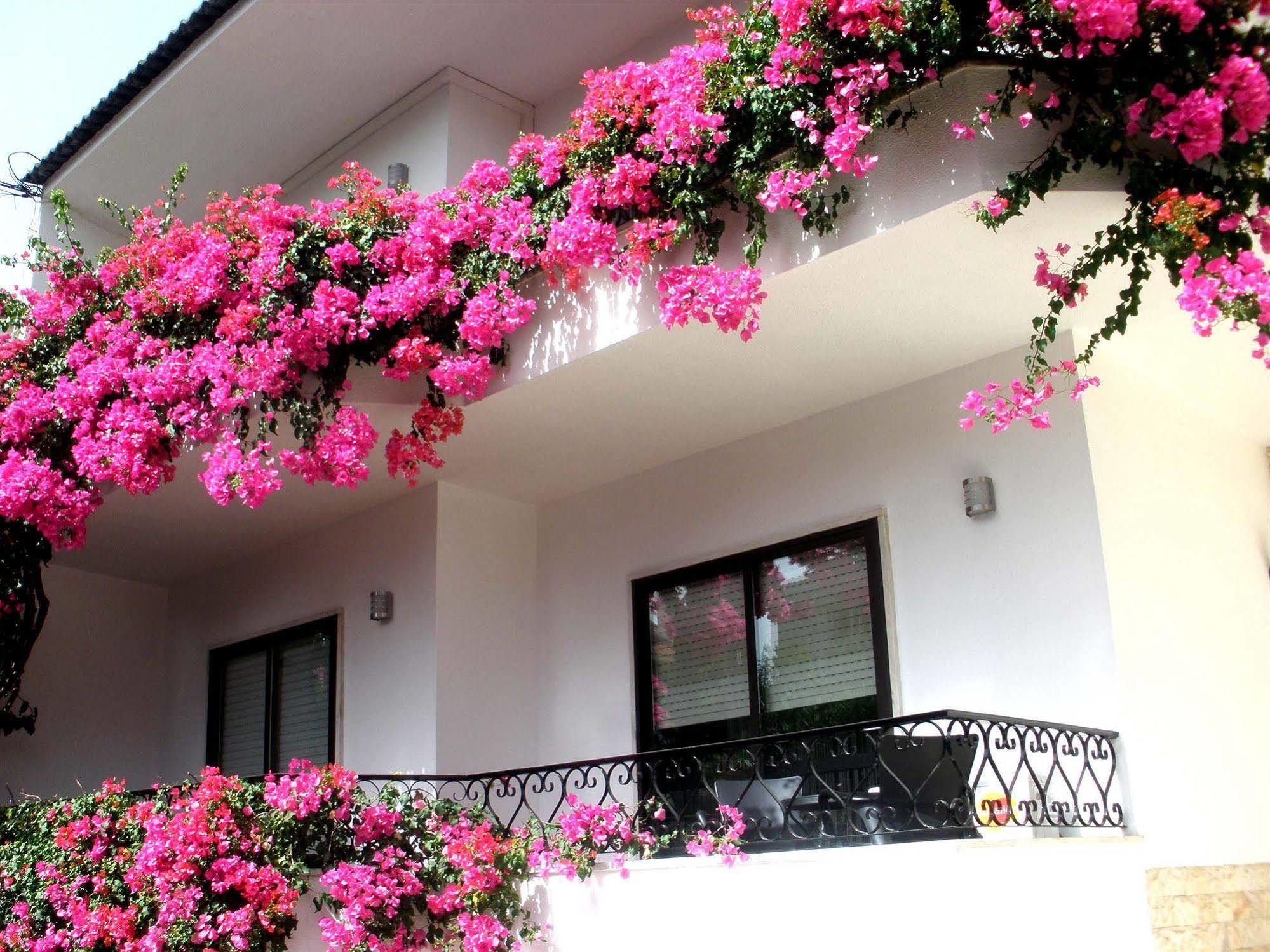Dolce Cascais Guest House Extérieur photo